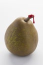 Green pear with red sealing wax Royalty Free Stock Photo