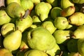 Green pears Royalty Free Stock Photo