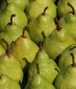 Green pears