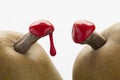 Green pears with red sealing wax Royalty Free Stock Photo