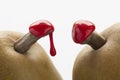 Green pears with red sealing wax