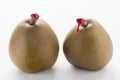 Green pears with red sealing wax Royalty Free Stock Photo