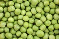 Green Peas background texture vegetable. Royalty Free Stock Photo