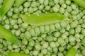 Green Peas background texture vegetable. Harvest in the garden Royalty Free Stock Photo