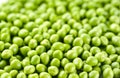 Green Peas background. Vegetable texture Royalty Free Stock Photo