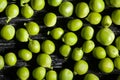 green peas beans texture background Royalty Free Stock Photo