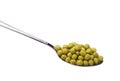 Green peas canned Royalty Free Stock Photo