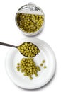 Green peas canned Royalty Free Stock Photo