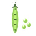 Green peas flat simple illustration