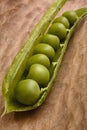 Green peas Royalty Free Stock Photo