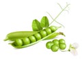 Green peas Royalty Free Stock Photo