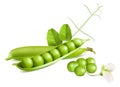 Green peas