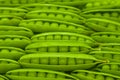 Green peas in pod Royalty Free Stock Photo