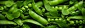 Green peas in pods background, banner, texture. Top view of fresh green peas Royalty Free Stock Photo