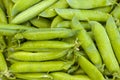 Green peas pods background Royalty Free Stock Photo