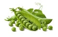 Green peas pods group isolated on white background Royalty Free Stock Photo