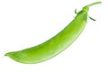 Green Peas in Pods Isolated on White Background Royalty Free Stock Photo