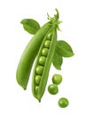 Green peas in pods isolated on white background Royalty Free Stock Photo