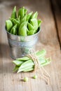 Green peas in a pods Royalty Free Stock Photo