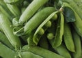 Green peas pods Royalty Free Stock Photo