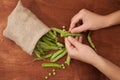 green peas, pods and peas in a canvas bag on a wooden background. flatlay, a woman peels hand