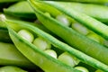 Green peas Royalty Free Stock Photo