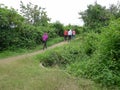 Green pedestrian path Royalty Free Stock Photo