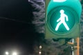 Green pedestrian traffic light