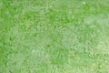 Green Peeling Paint on the Wall Royalty Free Stock Photo