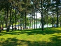 picnic area near a lake, surrounded by trees at the local park