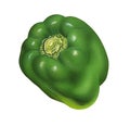 Green Pepper