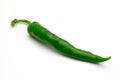 Green pepper