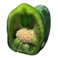 Green pepper cut isolated Royalty Free Stock Photo