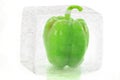 Green pepper in ice cube