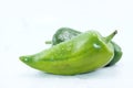 Green pepper on white background .