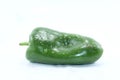 Green pepper on white background .