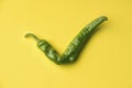 green pepper on a yellow background in the form of a check mark. concept of ugly products. Royalty Free Stock Photo