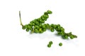 Green peppercorn