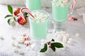 Green peppermint hot chocolate with marshmallows