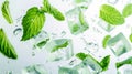 green peppermint leaves in ice cubes