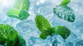 green peppermint leaves in ice cubes, light background