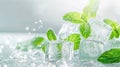green peppermint leaves in ice cubes, light background