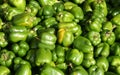 Green peppers at a market Royalty Free Stock Photo