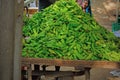 Green pepppers for sale, India