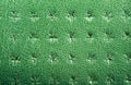 Green perforated leather texture background. Leather close up. Macro shot of shiny leather texture. Royalty Free Stock Photo