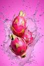 Tulip background beauty pink nature blossom green bright flower leaf spring plant floral Royalty Free Stock Photo