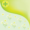 Green pharmacy background with officinal camomile