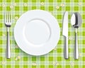 Green Picnic Blanket Plate Spoon Knife Fork Royalty Free Stock Photo