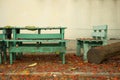 Green picnic table covered with fallen dried yellow leaves and red flowers Royalty Free Stock Photo