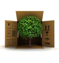 Green piece of nature product delivery